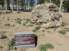 -延庆地质公园博物馆