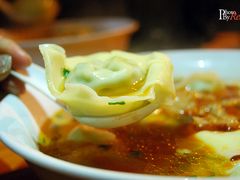 荠菜肉馄饨-潘国仙耳光馄饨(黄家阙路店)