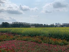 -光明小镇欢乐田园