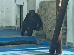 -合肥野生动物园
