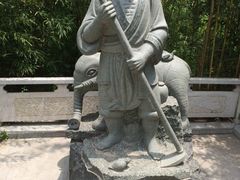 -王顺山国家森林公园