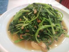 金钩海米炒鸡毛菜-鹊华居·地道鲁菜·海鲜·融合味(大明湖店)