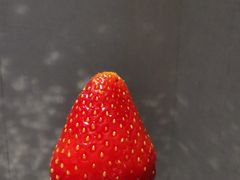 -老炳·七丛松甘草水果