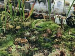 -国家植物园南园