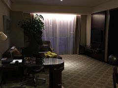 -上海浦东绿地铂骊酒店