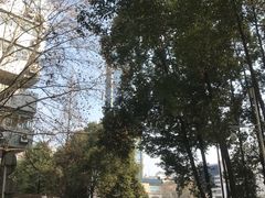 -绵阳人民公园(涪城区)