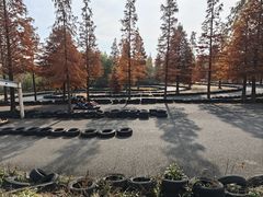 -东海森林温泉度假酒店