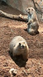 -Zoolung Zoolung动物主题公园(海信广场店)