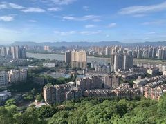 -福道