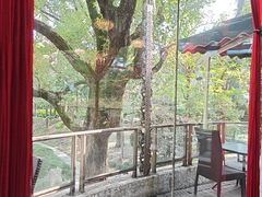 -申粤轩酒楼·三十年粤菜经典(丁香花园店)