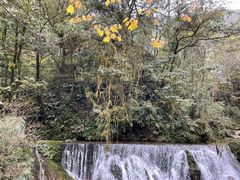 -西岭雪山大飞水景区
