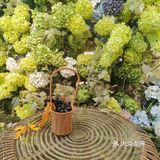 木芙甜点氛围餐厅，味觉与视觉的双重盛宴