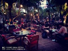 -Fern Forest Cafe