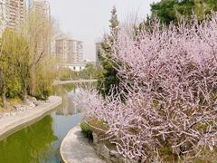 -团结湖公园