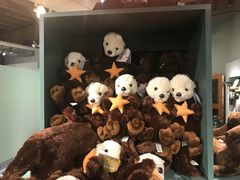 纪念品-西雅图水族馆