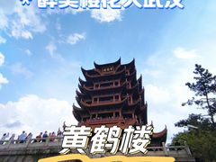 -黄鹤楼公园(黄鹤楼)