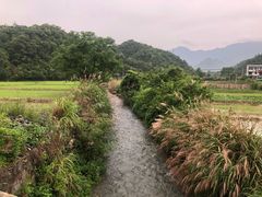 -石台牯牛降景区