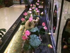 -杭州水知情足浴SPA(苏州店)