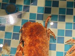 -南海底小海鲜·湘菜(鲁巷吴家湾店)