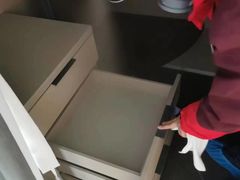 -浙大冰虫甲醛检测治理(闵行店)