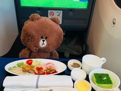 -全日本空输株式会社(上海办事处)
