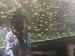 -重庆欢乐海底世界