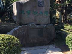 -汉拿树木园