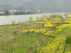 -新安江山水画廊风景区