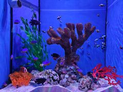 -多彩贵州城极地海洋世界