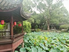 -上海醉白池公园