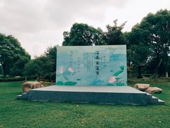 -荷塘月色湿地公园·向阳花洲