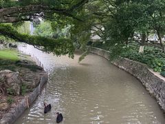-江心屿景区