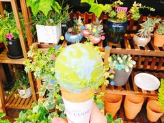 OATLY燕麦地球-Dal Cuore 达可芮冰淇淋(陕西北路店)