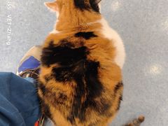 -佑安动物医院·全科·内窥镜中心(幸福巷店)