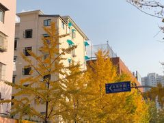 -阿婆油墩子(五里桥路188弄小区店)