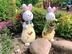 -上海共青森林公园