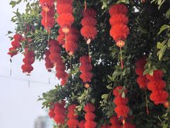 -塔子山公园