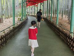 -陶祖圣境风景区