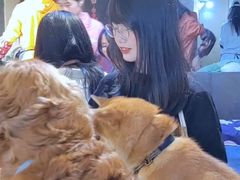 -萌喵咖啡屋(人民东路4号口M16商铺店)
