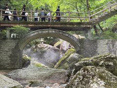 -牛背梁国家森林公园