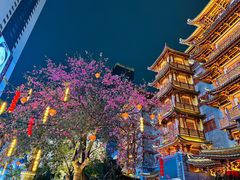 -光明广场