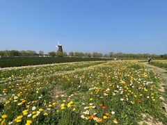 -漩门湾国家湿地公园