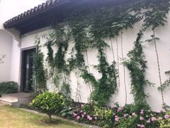 -杭州西湖柳莺里酒店