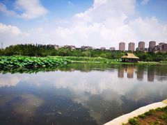 -前关湿地公园
