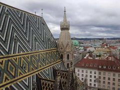 -斯蒂芬主教座堂(Stephansdom)