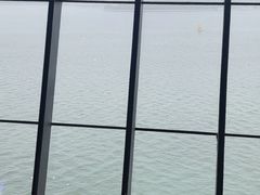 -抱抱地球咖啡馆(国家海洋博物馆店)