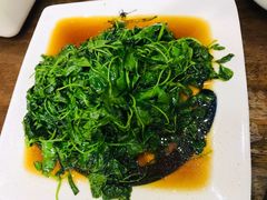 鸡毛菜-观桥阁(锦溪店)