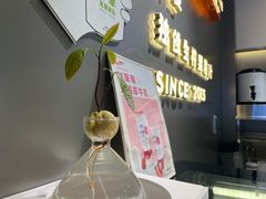 -树夏(锦里店)