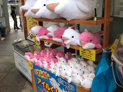 -西海国立公园九十九岛水族馆