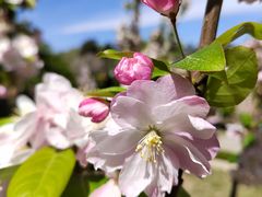 -元大都城垣遗址公园